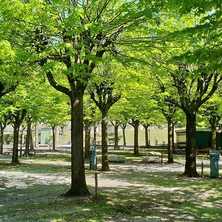 Village Riva Blu بادينغي سول غاردا